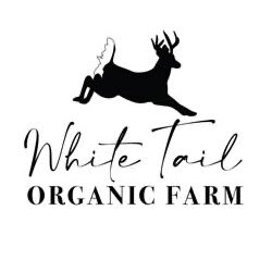 White Tail Logo