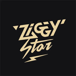 Ziggy Star Split Logo