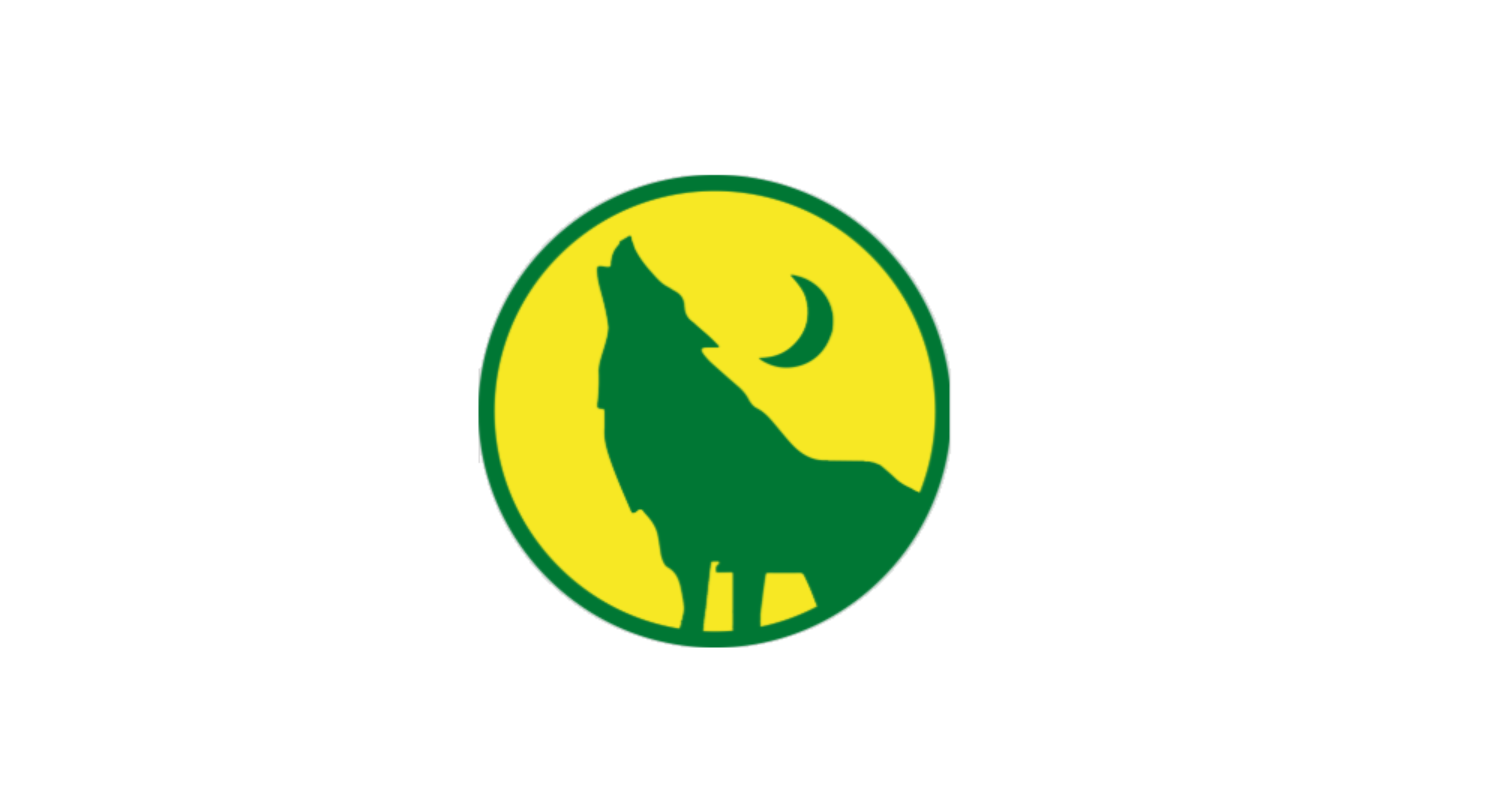 Wild Packs Summer Camps news thumbnail logo