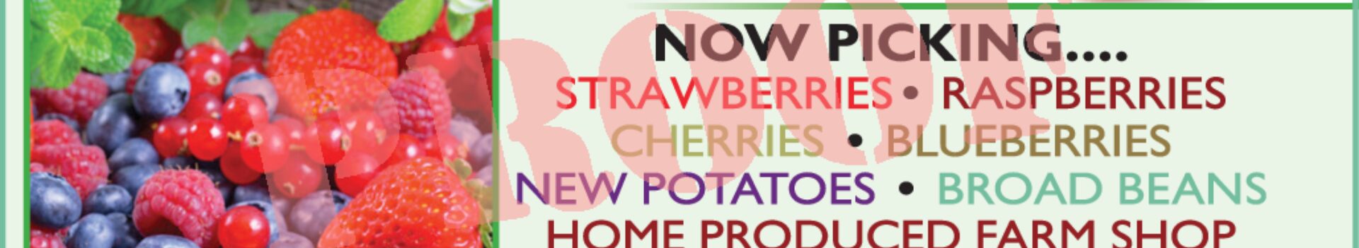 1da4763c d544 40a6 ba36 f41c39882719 1 sn5941060 HR