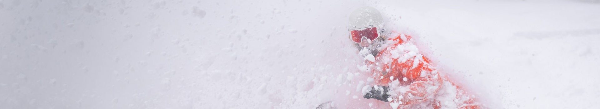 Project Snow Profile Banner