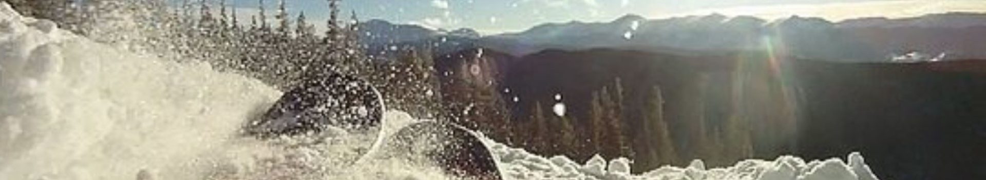 Seasonto Season Employment Profile Banner Image