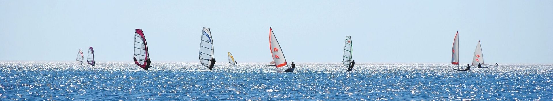 Summer Courses Banner