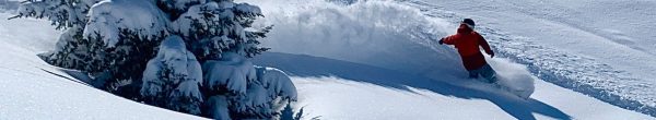 Alpine Elements Profile Banner Image