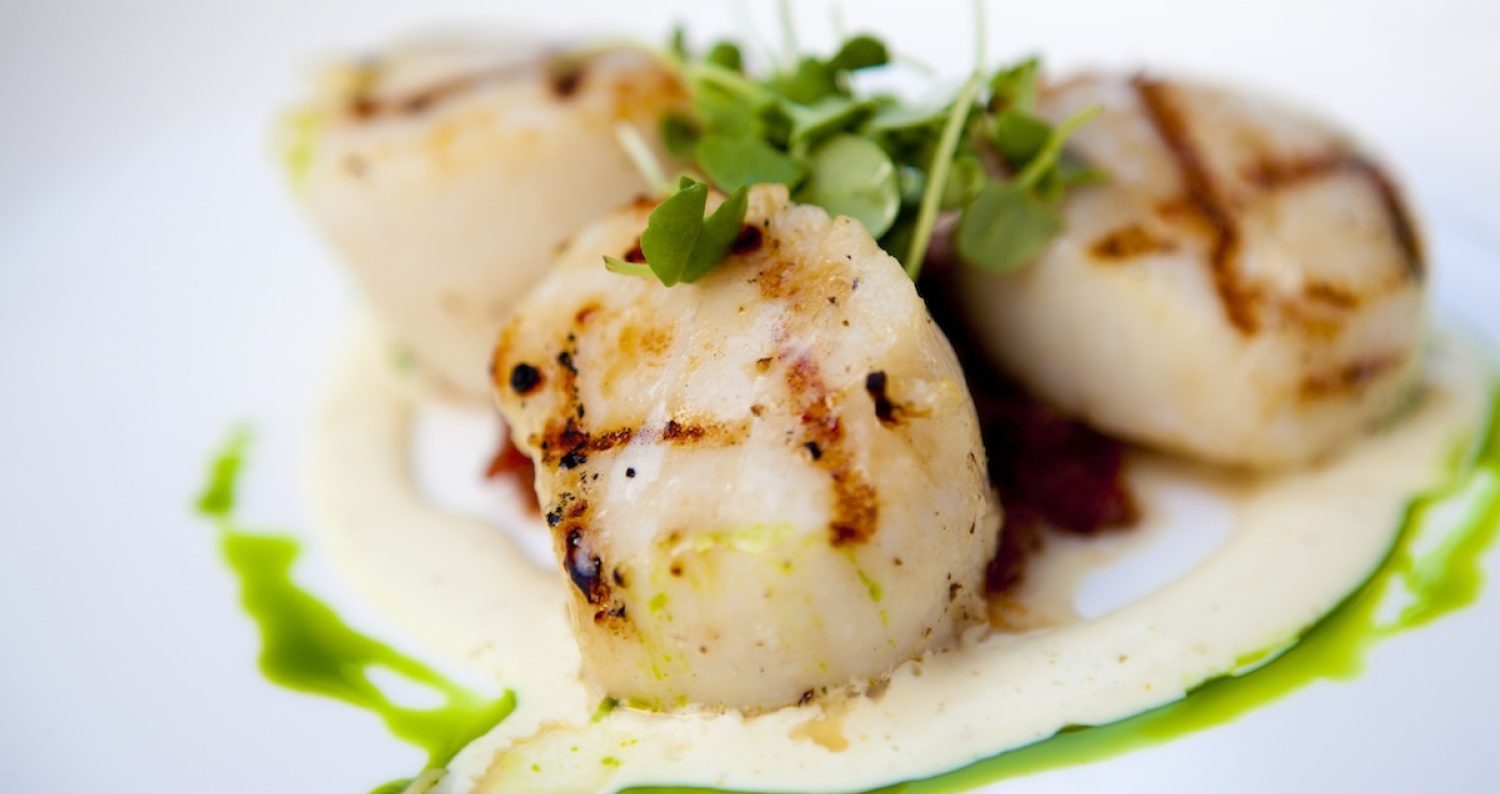 Professional chefs serving fine dining food