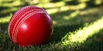 Cricket