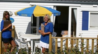 Area Management Jobs