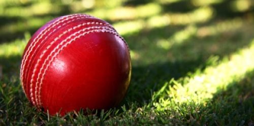 Cricket